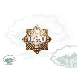 Pin Gran Placa del Mérito Militar distintivo azul