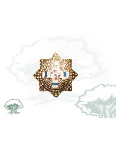 Pin Gran Placa Mérito Militar distintivo azul