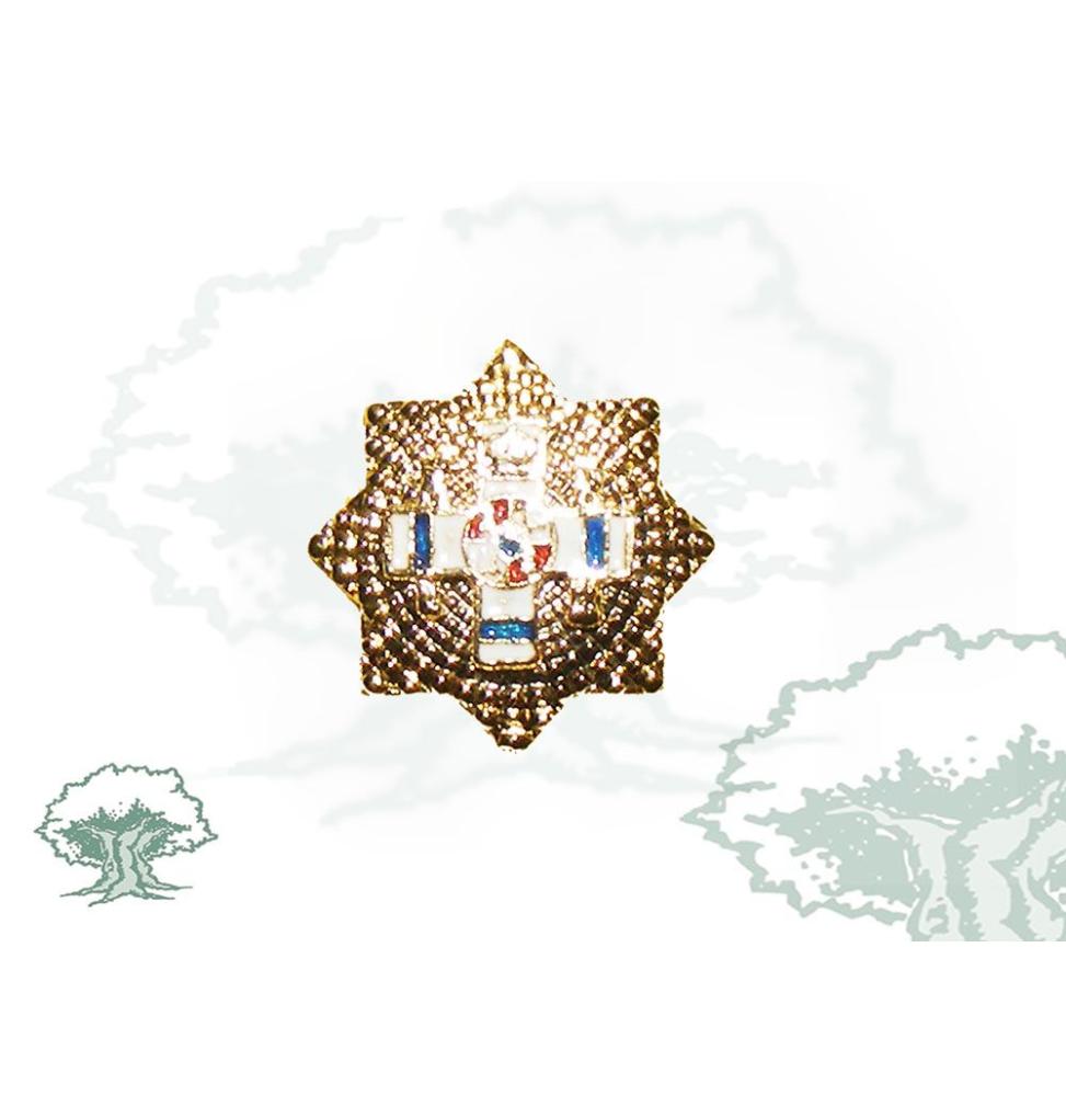 Pin Gran Placa del Mérito Militar distintivo azul