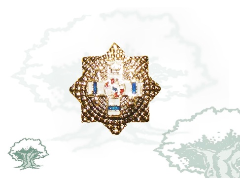 Pin Gran Placa del Mérito Militar distintivo azul