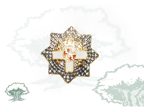 Pin Gran Placa del Mérito Militar distintivo blanco