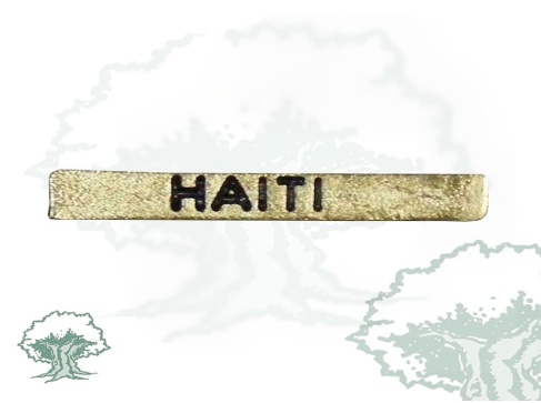 Barra misión Haiti