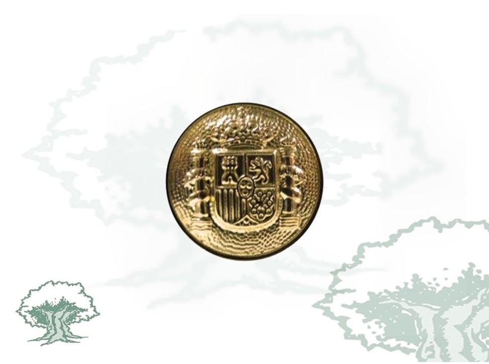 Botón para uniforme grande