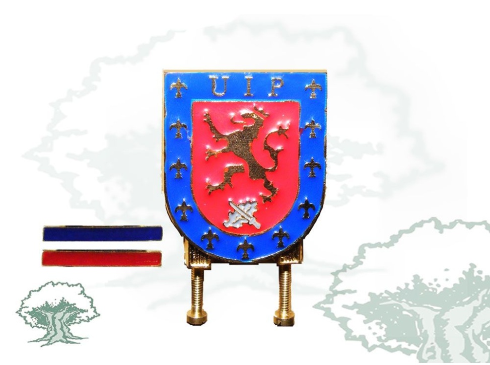 Distintivo de función UIP Policía Nacional