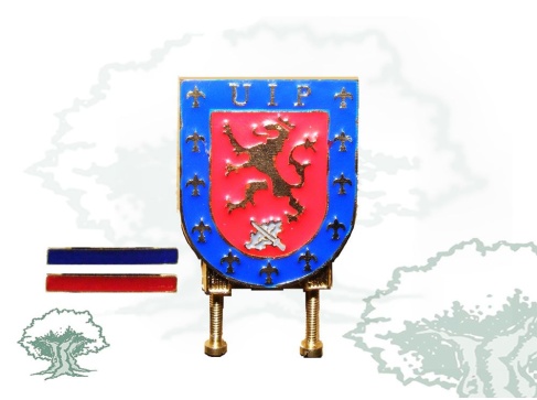 Distintivo de función UIP Policía Nacional