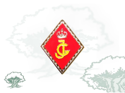 Pin Guardias Jóvenes rombo