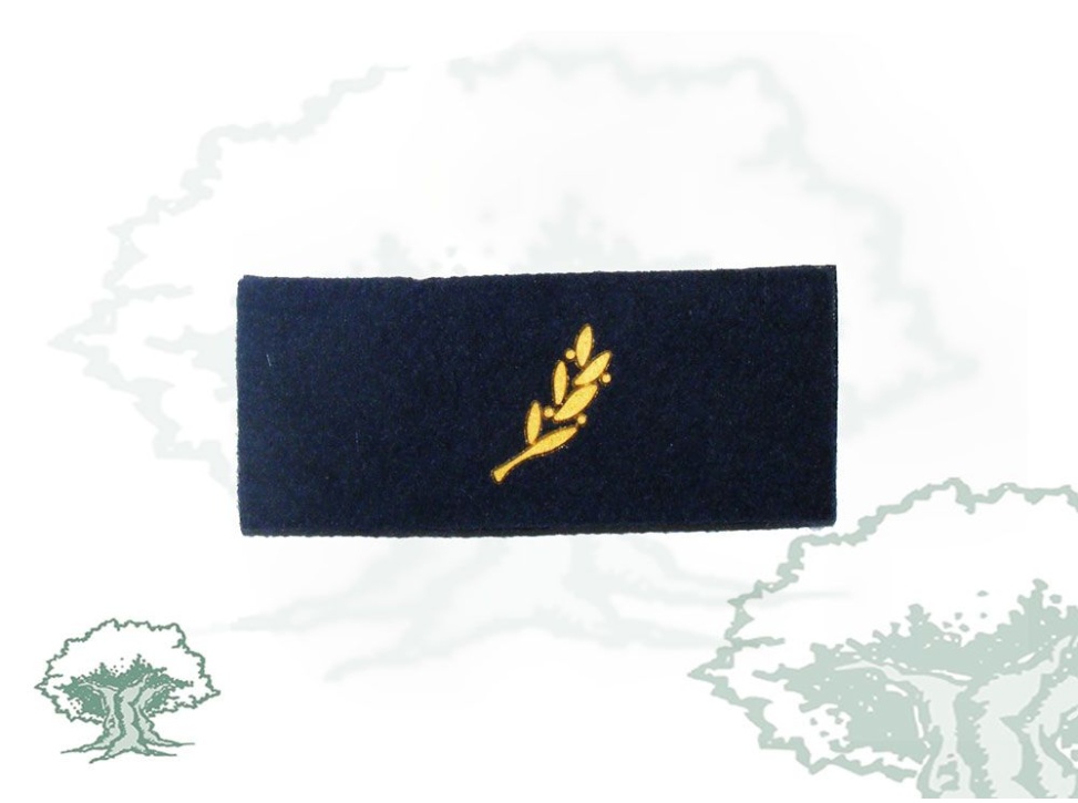 Tira de rango Escala Básica Policía Nacional modelo antiguo