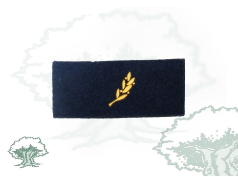 Tira de rango Escala Básica Policía Nacional modelo antiguo