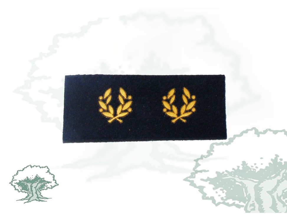 Tira de rango Inspector Policía Nacional antigua