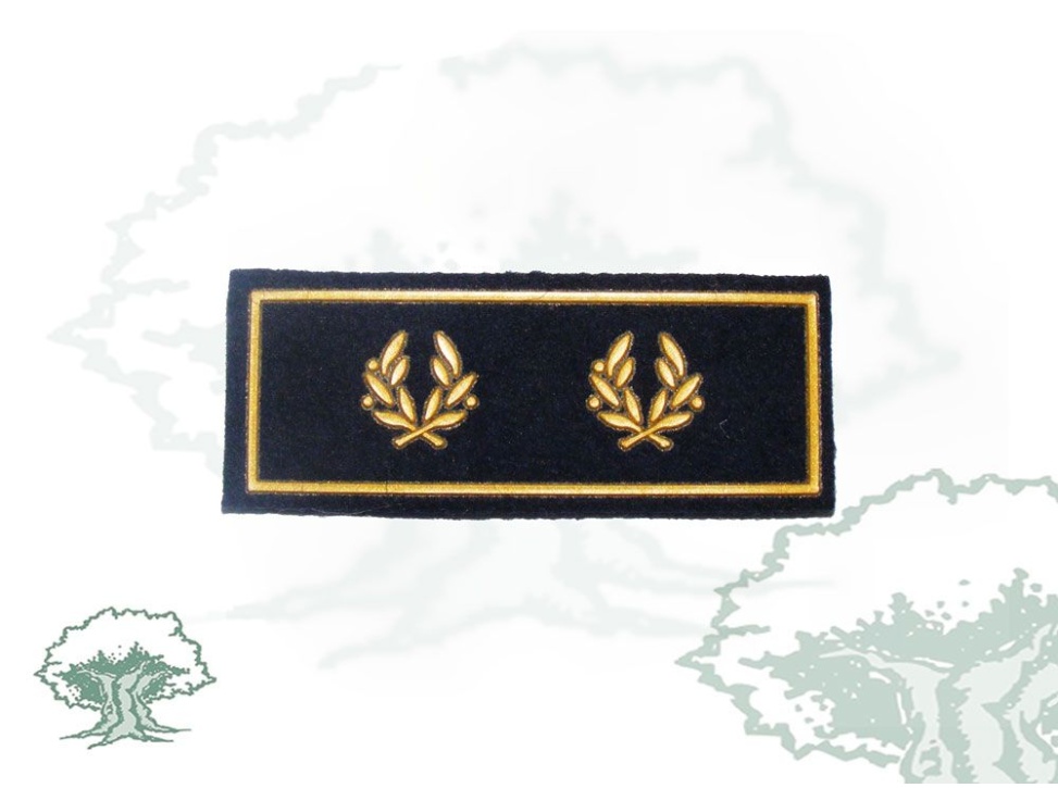 Tira de rango Inspector Jefe Policía Nacional antigua