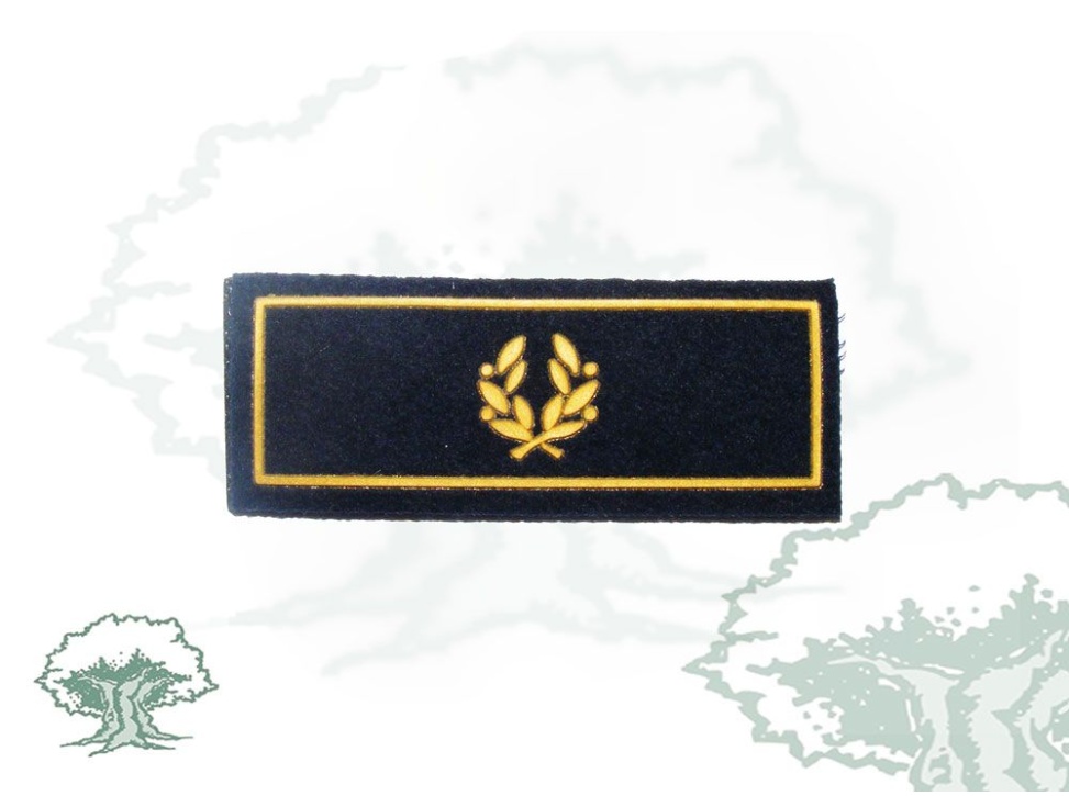 Tira de rango Subinspector Policía Nacional antigua