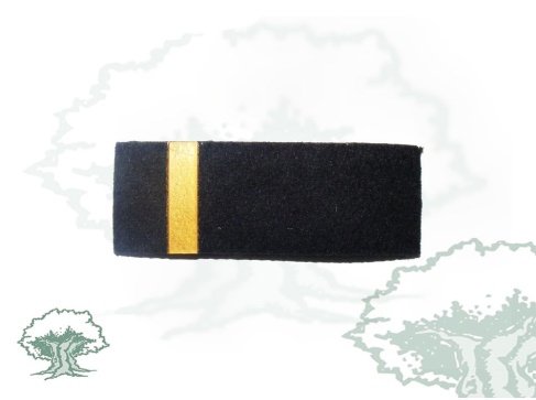 Tira de rango Alumno Prácticas Policía Nacional modelo antiguo