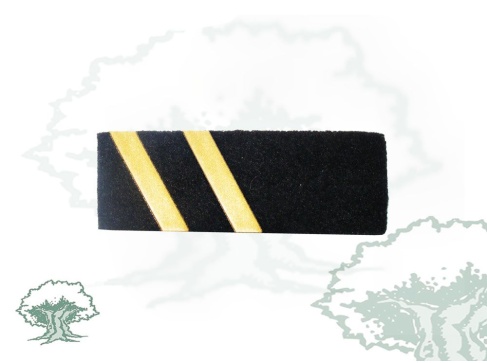 Tira de rango 2ª Ejecutiva Policía Nacional modelo antiguo