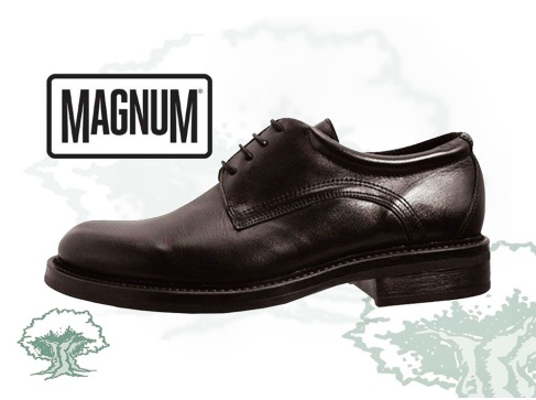 Zapatos Magnum Duty
