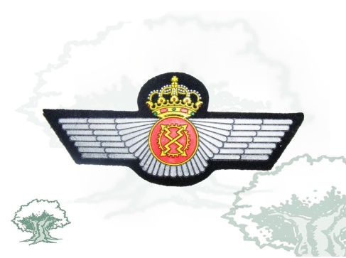 Roquisqui Mecánico de Aeronaves en PVC