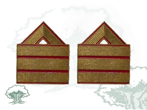 Galones Sargento 1º