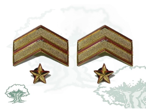 Galones Suboficial Mayor