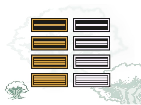 Galleta Protección Civil mandos