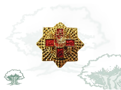 Pin Gran Placa del Mérito Militar distintivo rojo