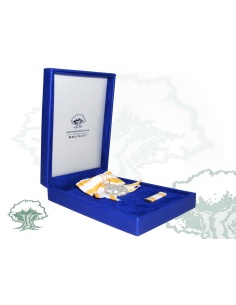 Medalla Dama Orden de Isabel la Católica lazo plateada 2