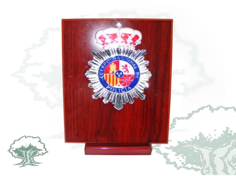 Metopa Policía Nacional