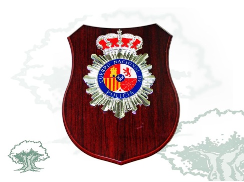 Metopa Policía Nacional