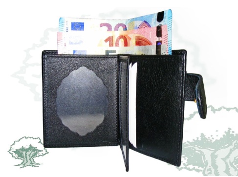 Cartera con cierre de correilla con chapa