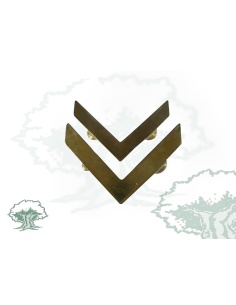 Ángulos Alumno Academia General Militar