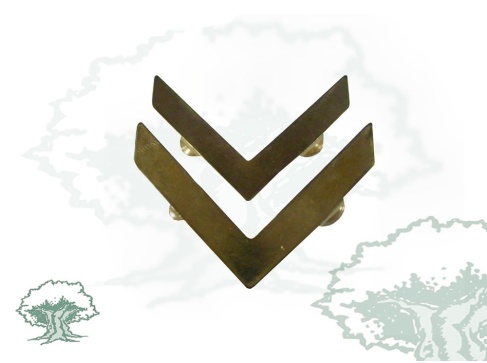 Ángulos Alumno de la Academia General Militar