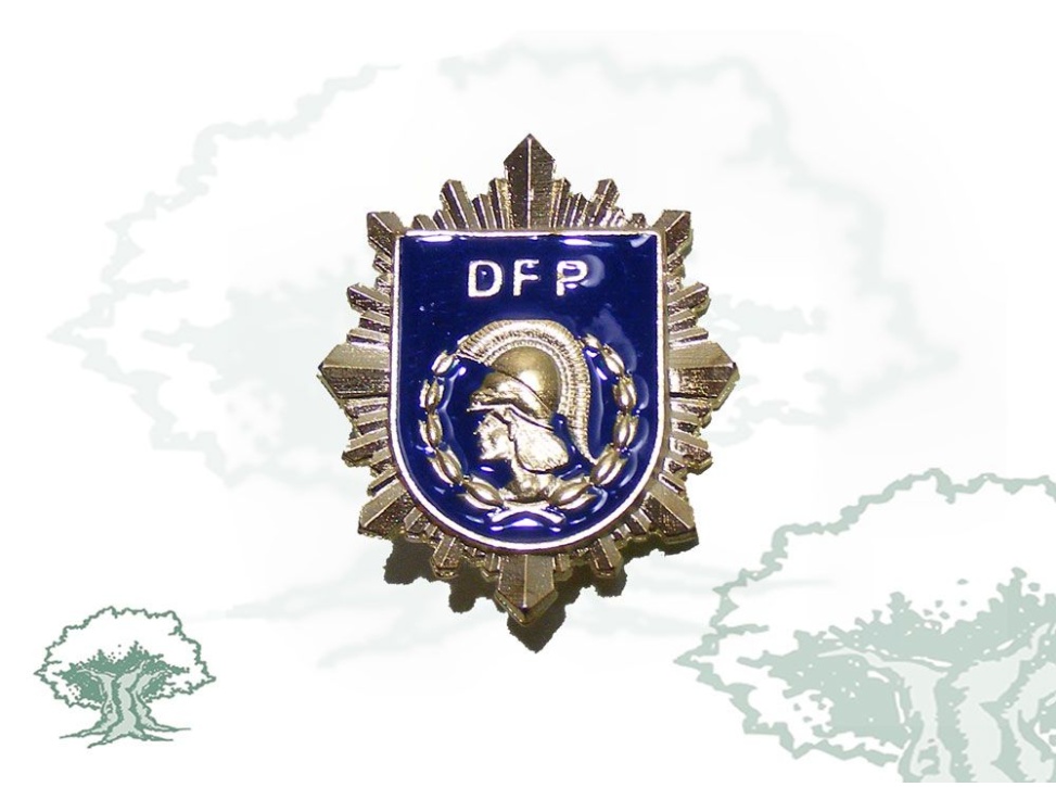 Distintivo de permanencia Profesorado DFP Policía Nacional