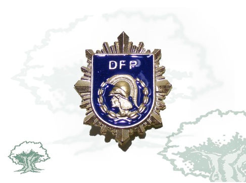 Distintivo de permanencia Profesorado DFP Policía Nacional