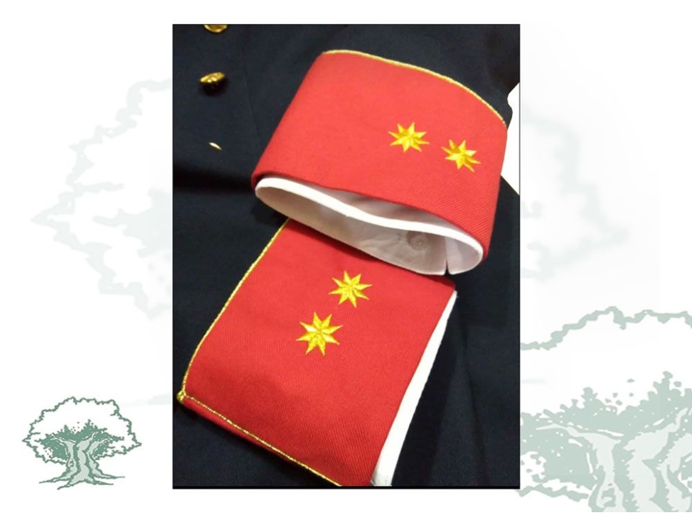 Traje Guardia Civil Gran Gala estándar