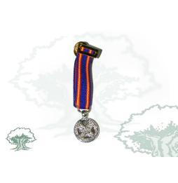 Medalla de Campaña miniatura