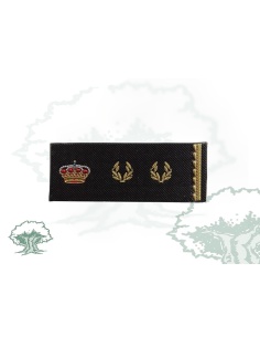 Tira de rango Inspector Prácticas Policía Nacional