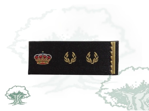 Tira de rango Inspector Prácticas Policía Nacional