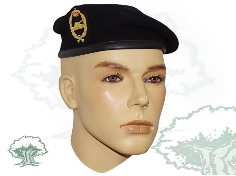 Boina División Acorazada