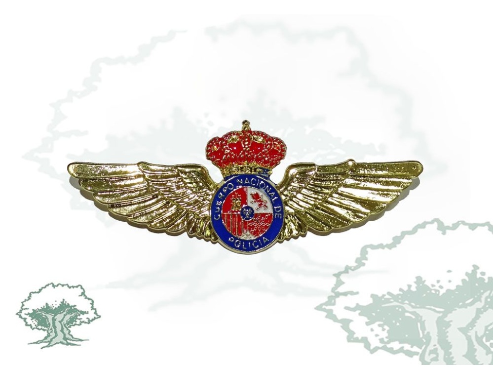 Roquisqui Servicio Aéreo Policía Nacional