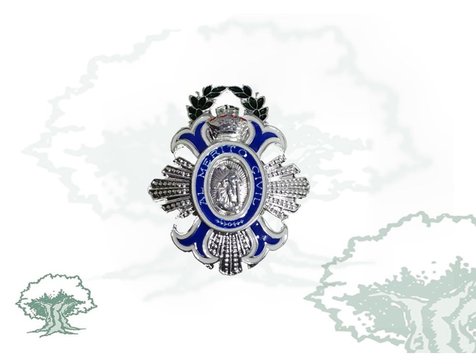 Medalla Mérito Civil con pasador y pin