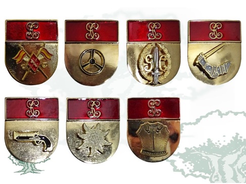 Distintivo de título Guardia Civil no oficial