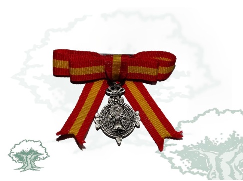 Medalla Damas del Pilar lazo miniatura