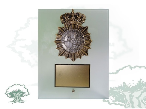 Placa dedicatoria de cristal traslúcido Policía Nacional resina