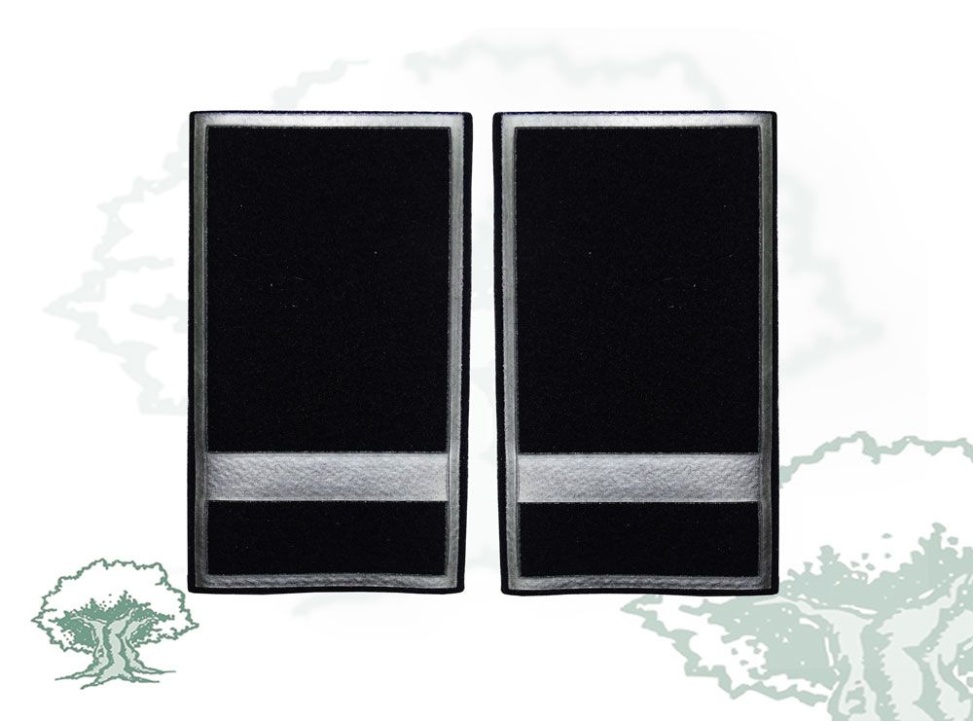 Hombreras Policía Local