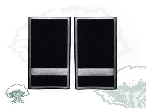 Hombreras Policía Local