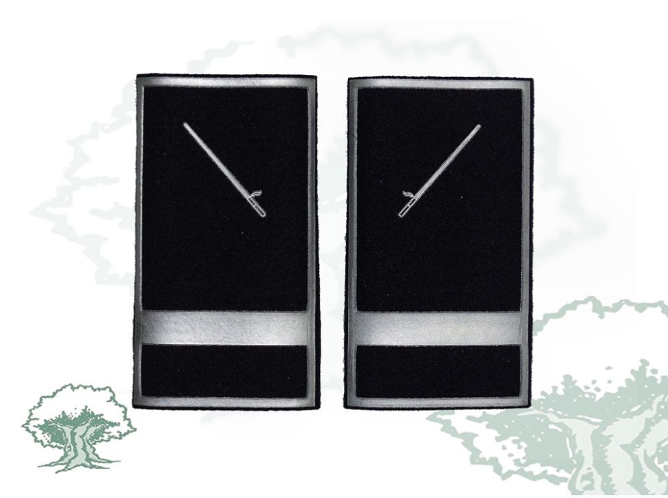 Hombreras Policía Local