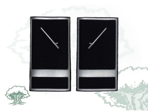 Hombreras Policía Local