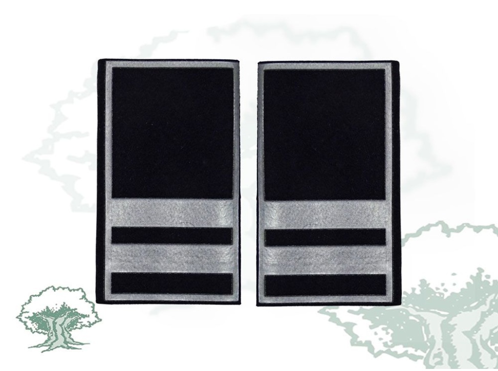 Hombreras Policía Local