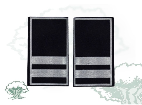 Hombreras Policía Local