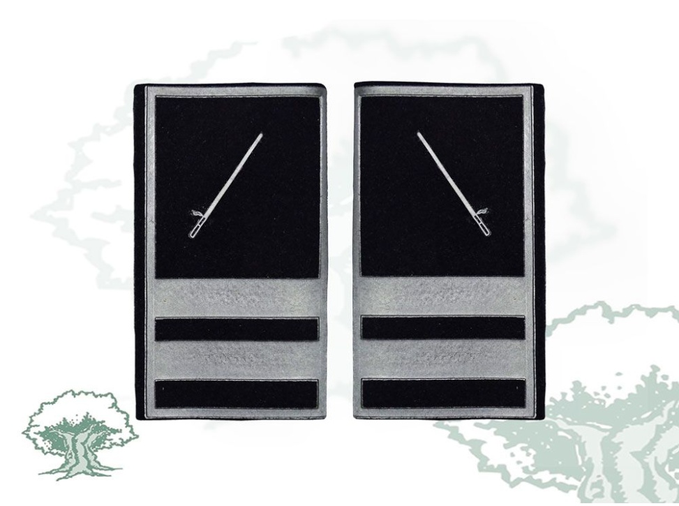 Hombreras Policía Local