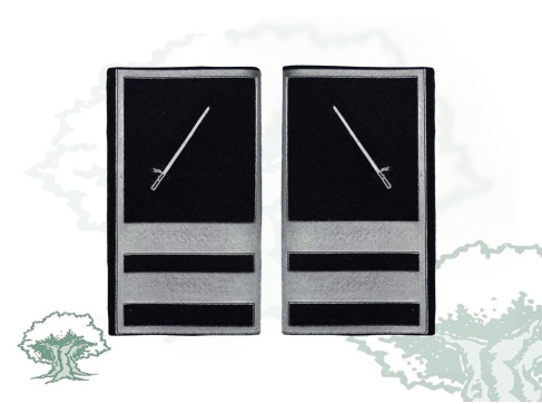 Hombreras Policía Local