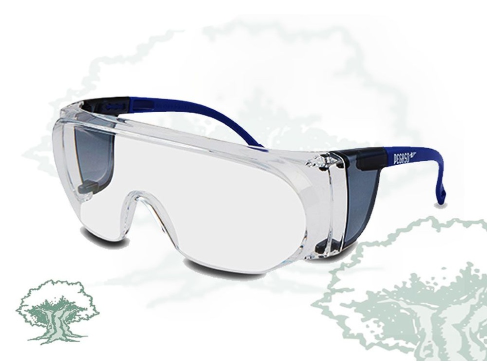Gafas Pegaso Basic 3 Lente Pc Incolora Antivaho